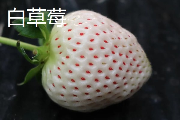 凉性碱性水果有哪些，常见的有梨子、苹果等