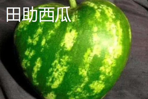 凉性碱性水果有哪些，常见的有梨子、苹果等