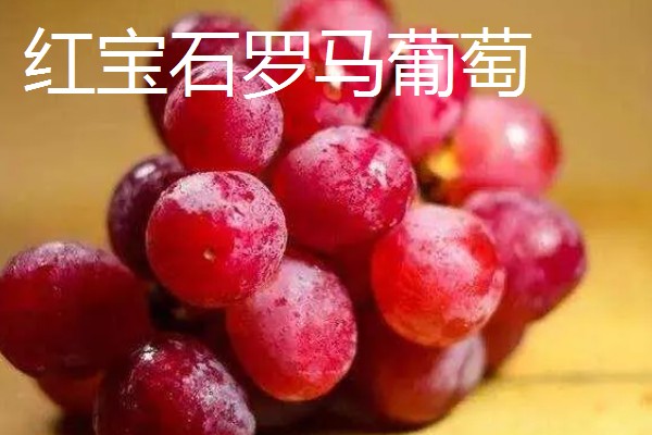 凉性碱性水果有哪些，常见的有梨子、苹果等