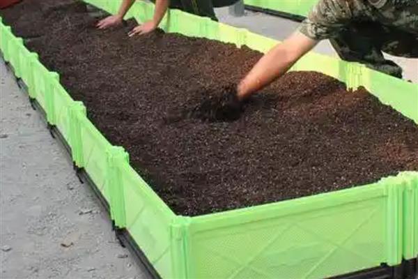 养殖蚯蚓用哪种土，以疏松且富含腐殖质的土壤为宜
