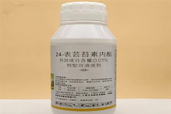 芸苔素拌麦种要用多少，粉剂的亩用量不能少于2克