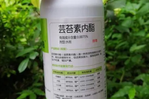 芸苔素拌麦种要用多少，粉剂的亩用量不能少于2克