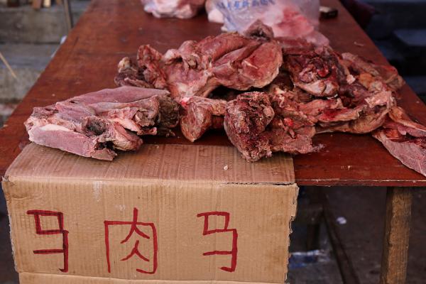 养马怎么赚钱，可食用、役用等
