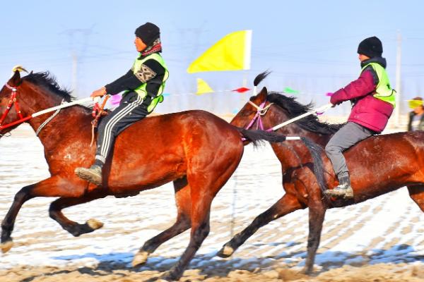 养马怎么赚钱，可食用、役用等