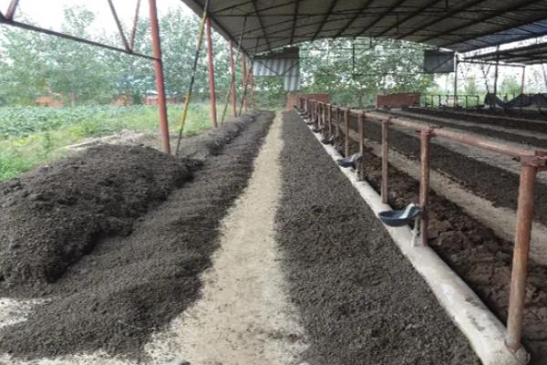 蚯蚓怎么进行人工养殖，将基料的含水量保持在60-70%