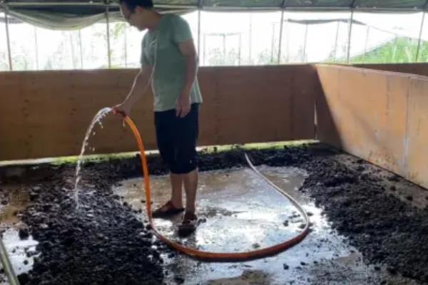 蚯蚓怎么进行人工养殖，将基料的含水量保持在60-70%
