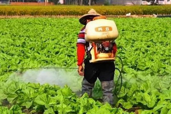 如何正确施用昆虫病毒杀虫剂，昆虫幼虫1-3龄期为用药时间