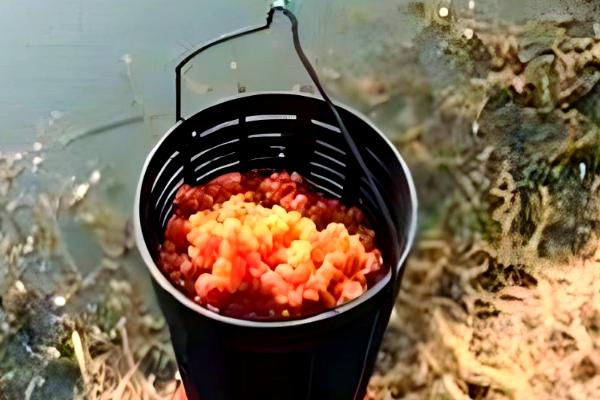 冬季垂钓鲤鱼的技巧，水草区可作为首选钓点