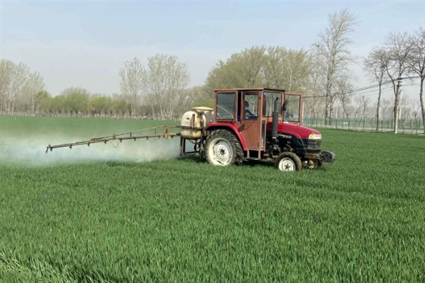 小麦打除草剂的适宜温度,平均温度高于6℃时打药效果较好