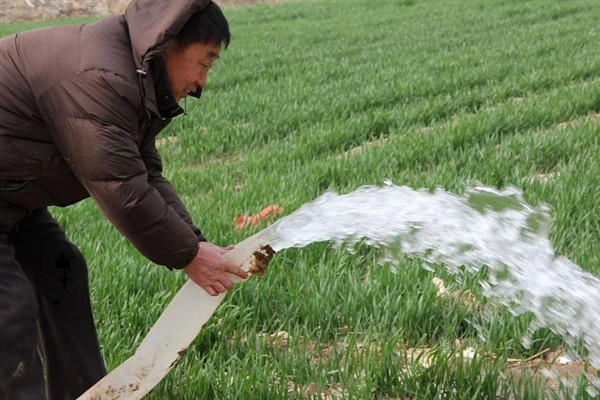 小麦打除草剂的适宜温度,平均温度高于6℃时打药效果较好