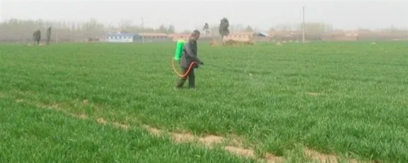小麦打除草剂的适宜温度，平均温度高于6℃时打药效果较好