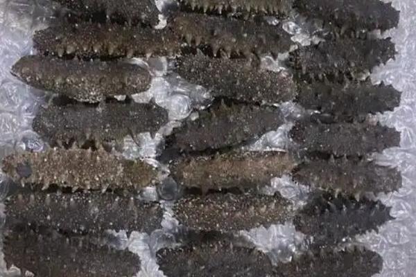 如何泡发海参,按以下步骤进行