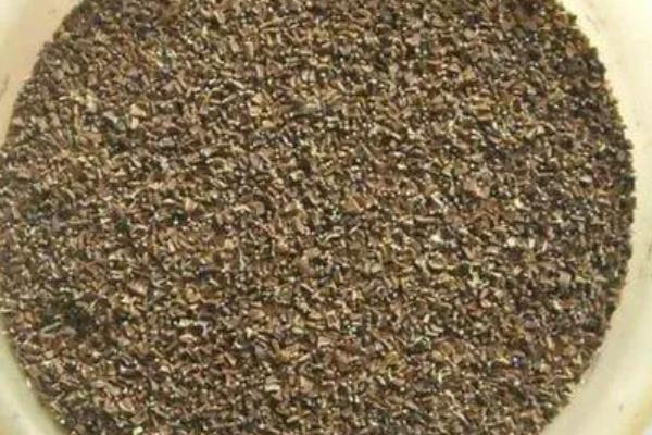 茼蒿种子播种前要不要泡，茼蒿种子播种前要泡