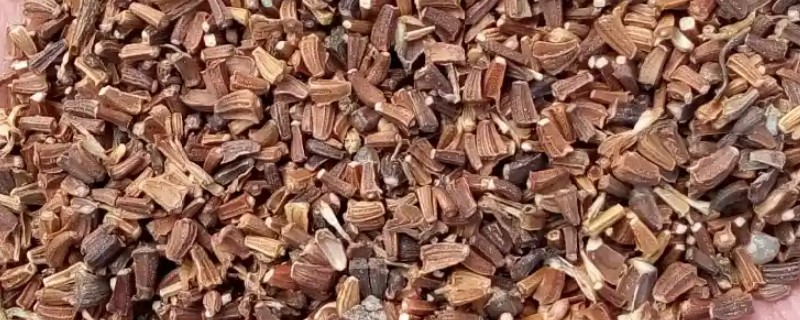 茼蒿种子播种前要不要泡，茼蒿种子播种前要泡