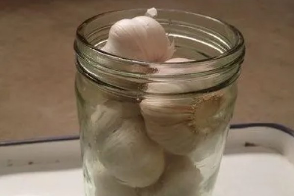 水培大蒜能不能晒太阳，能晒太阳但不能被强光直射
