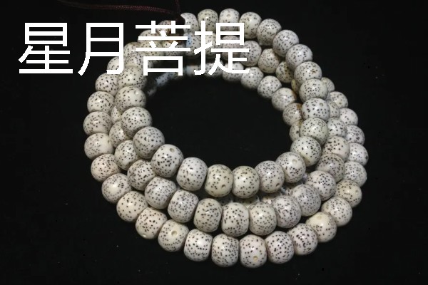 菩提的种类，常见的有星月菩提、金刚菩提等