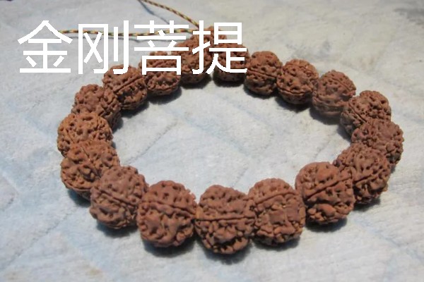菩提的种类，常见的有星月菩提、金刚菩提等
