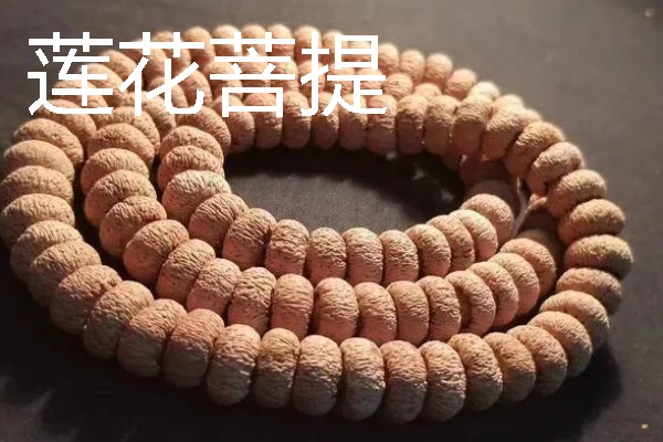 菩提的种类，常见的有星月菩提、金刚菩提等