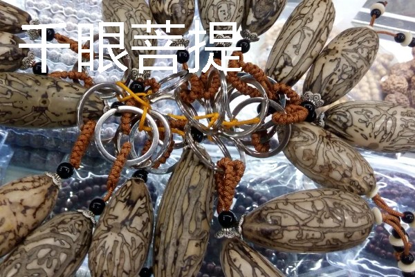菩提的种类，常见的有星月菩提、金刚菩提等