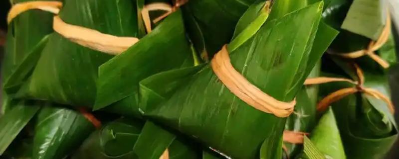 粽叶树介绍，一般是指箬叶、芦苇叶