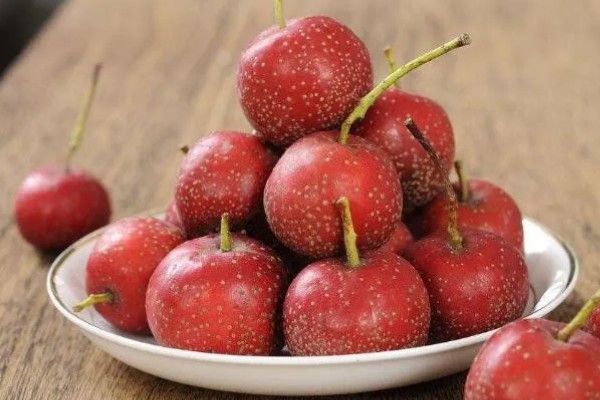 野山楂的开花时间,在每年的5-6月