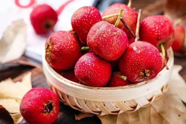 野山楂的开花时间,在每年的5-6月