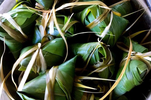 粽叶树介绍，一般是指箬叶、芦苇叶