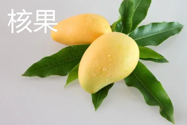 有什么常见的单果，包含核果、浆果、柑果等种类