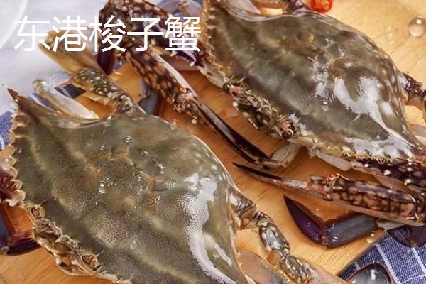 辽宁东港市的特产，有东港梭子蟹、东港泥螺等