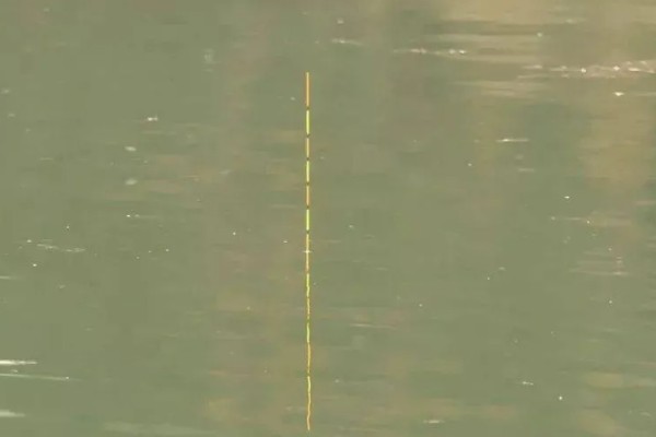 短浮漂和长浮漂的区别，前者翻身速度快、后者翻身速度慢