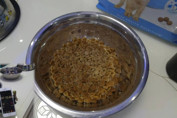 狗吃猫粮会有哪些影响，会导致肥胖