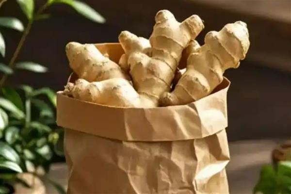 我国有什么出名的生姜，莱芜、彭水、新丰等地方产出的生姜知名度较高