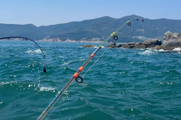 海钓用什么鱼饵，可选择环虫类、贝类等