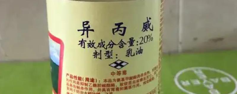 异丙威可以杀哪些虫，可以杀稻飞虱、蚜虫等