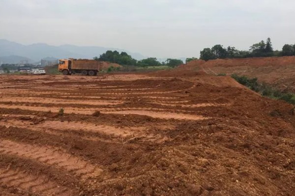 芋头一亩地可以产多少斤，亩产量一般在4000斤左右