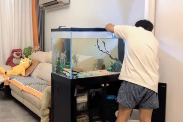 金鱼的换水间隔，通常每隔3-4天换一次