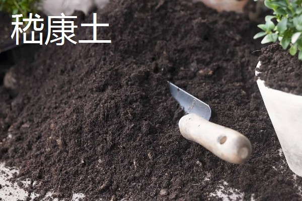 养花用哪种水，可以用自来水、雨水等