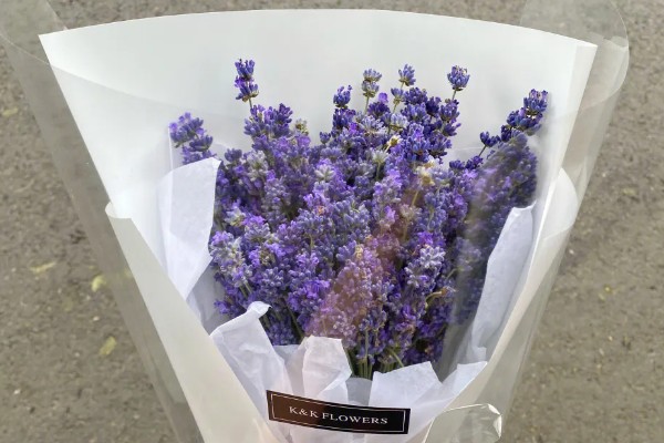 薰衣草的花期，花期是在5-10月份