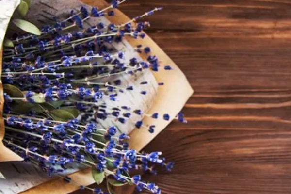 薰衣草的花期，花期是在5-10月份