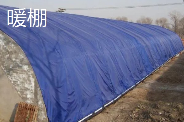 冷棚与暖棚有什么区别，前者是塑料大棚、后者是日光温室大棚