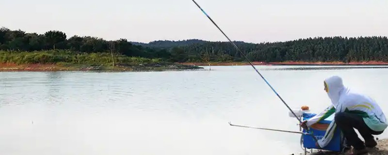 黑坑竿是什么，是为在黑坑中抢鱼设计的鱼竿