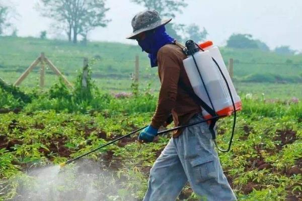 异丙威可以杀哪些虫，可以杀稻飞虱、蚜虫等
