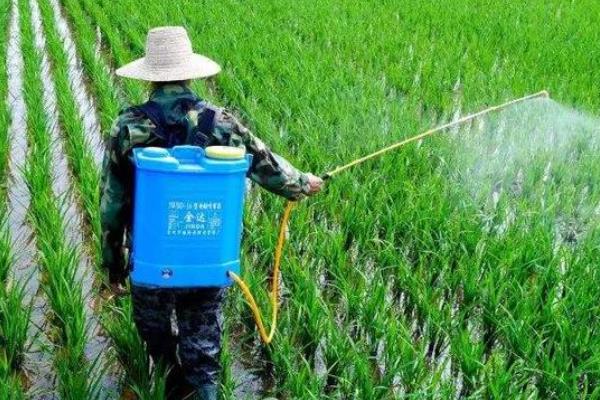 异丙威可以杀哪些虫，可以杀稻飞虱、蚜虫等
