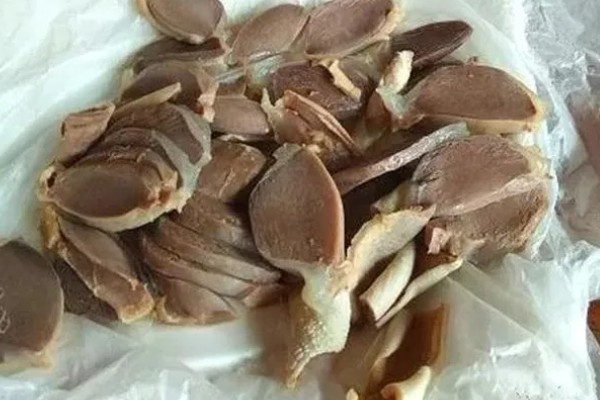 鹅有没有肾，鹅是有肾的