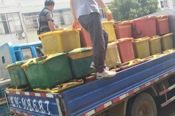挑选黄鳝种苗要注意什么，要注意观察头部、尾巴等部位有无异常情况