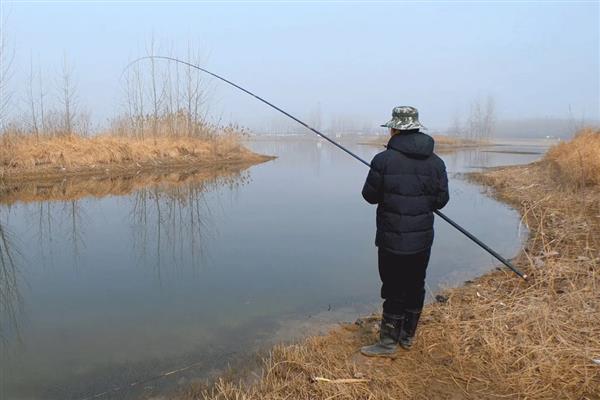 黑坑竿是什么，是为在黑坑中抢鱼设计的鱼竿