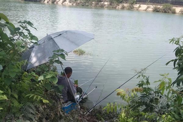 黑坑竿是什么，是为在黑坑中抢鱼设计的鱼竿
