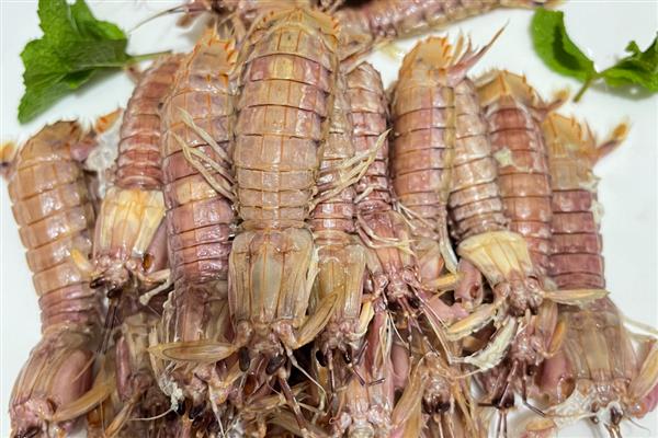 常见虾有什么食性，幼年对虾以小型甲壳类为主食