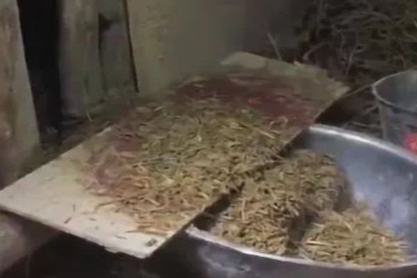 肉牛饲料添加剂有哪些，有碳酸氢钠、莫能菌素等