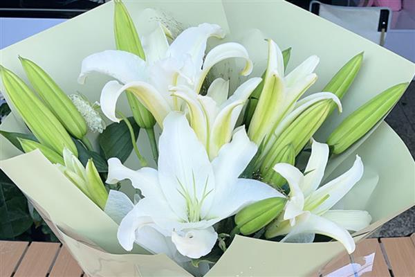 百合有哪几种颜色，有黄色、白色和橙色